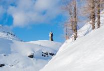 simplon-pass_winter20180203-37.jpg